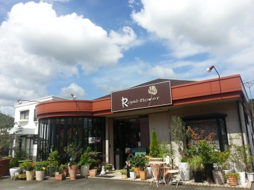 「ロイヤルフラワー」　（兵庫県加西市）の花屋店舗写真1